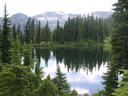 Forest lake.
